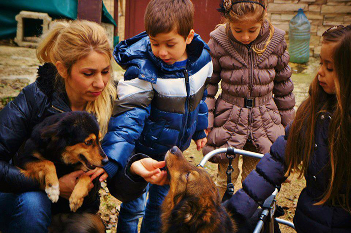 Tierengel Bulgarien, Tiere retten, Tiere in not, Straßenhunde retten