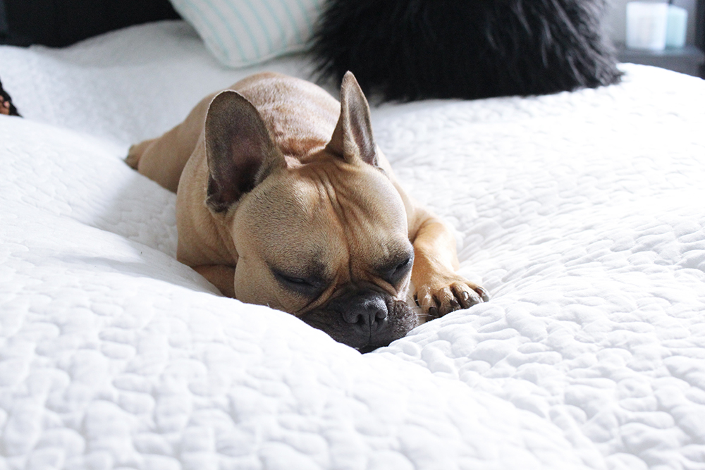Homestory: unser schlafzimmer mit ikea, ...