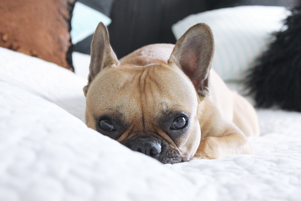 Homestory: unser schlafzimmer mit ikea, ...