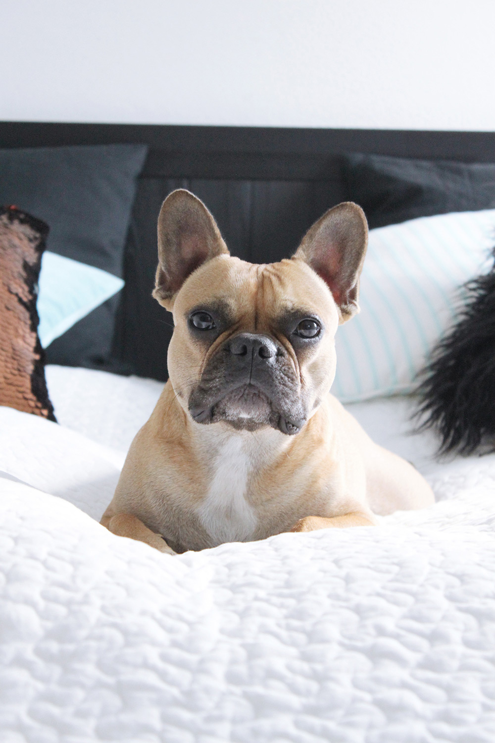 Homestory: unser schlafzimmer mit ikea, ... Boxspringbett ikea