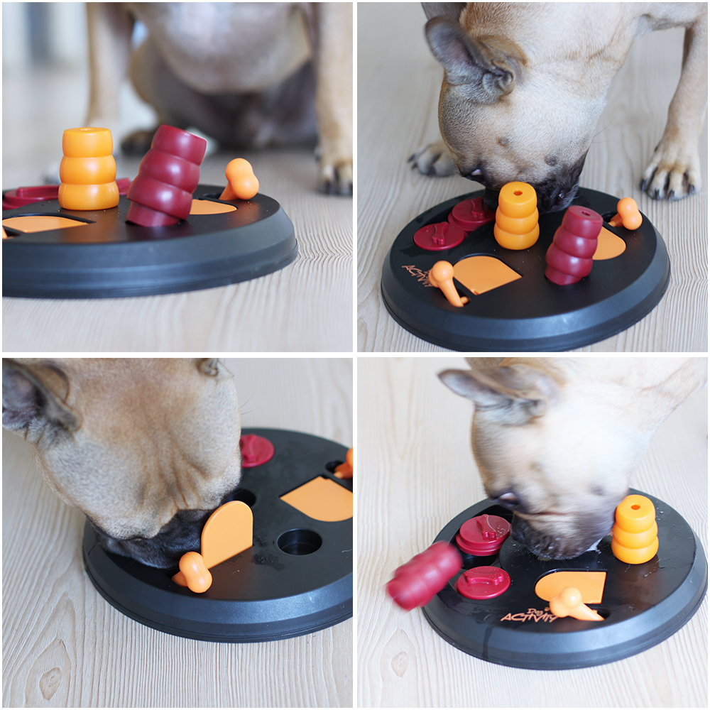 who is mocca, modeblog, hundeblog, dog activity flip board, trixie hundespielzeug, gehirntraining hunde, wohnung spielzeug frenchie, frenchie hundetraining, agilitiy training hunde, whoismocca.com