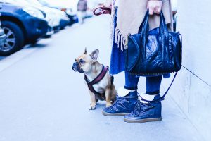 who is mocca, modeblogger, fashionblogger, influencer, wie geht layering?, lagenlook, zwiebellook, c&a boots, winteroutfit, asos fransenjacke, streetstyle, innsbruck, frenchie, fawn, whoismocca.com