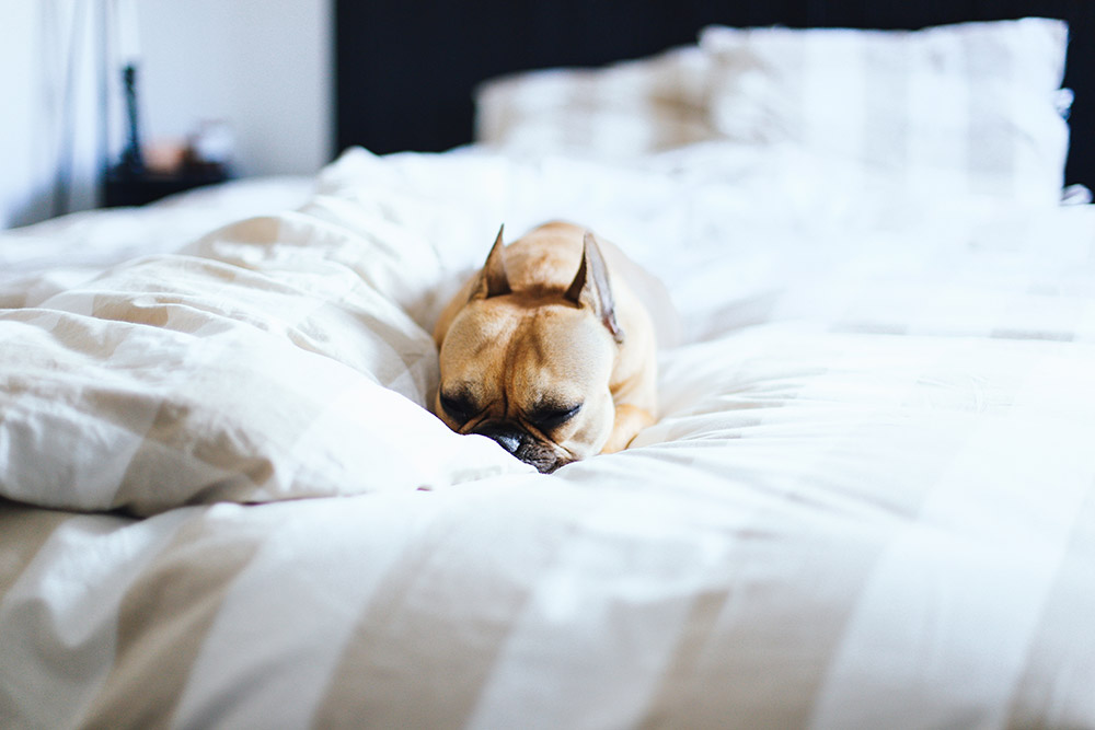 5 tipps für ein gemütliches schlafzimmer...