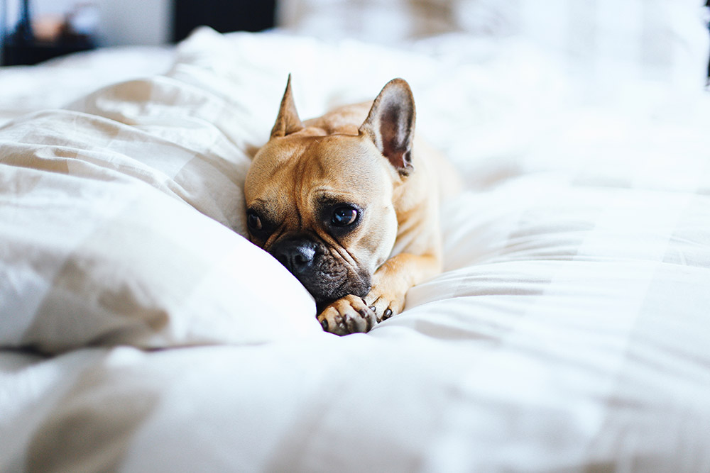 5 tipps für ein gemütliches schlafzimmer...
