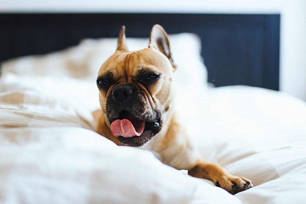 5 tipps für ein gemütliches schlafzimmer...