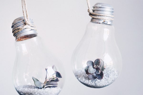 Geniale DIY Idee für Pflanzen: Die Glühbirnen Vase, Anleitung, Tutorial, Pinterest DIY, Interior Blog, Interior Magazin, whoismocca.com
