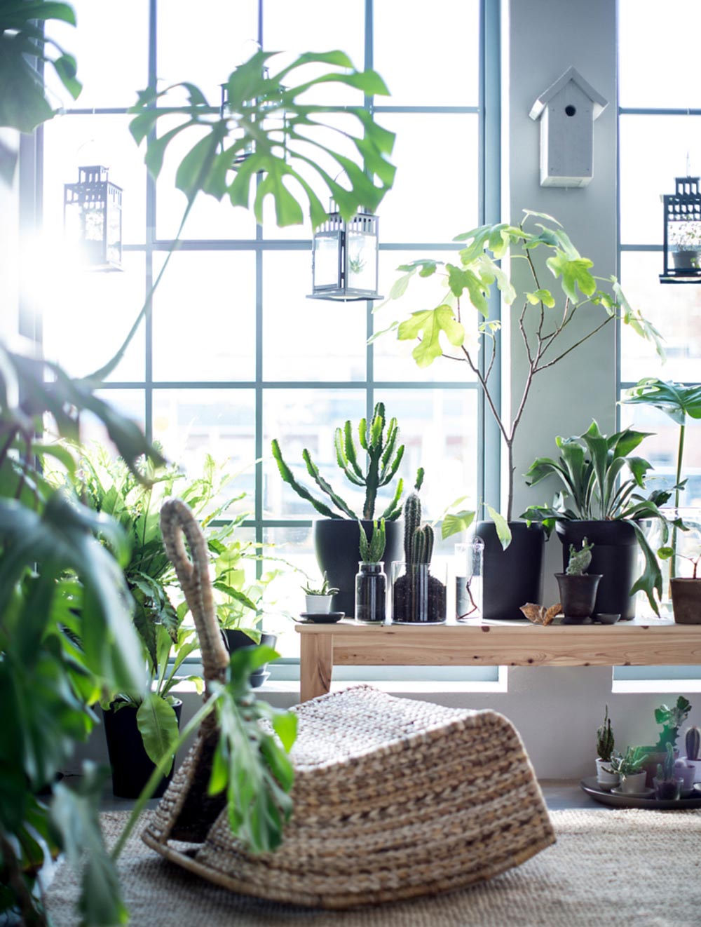 10 tipps für ein gemütliches wohnzimmer...