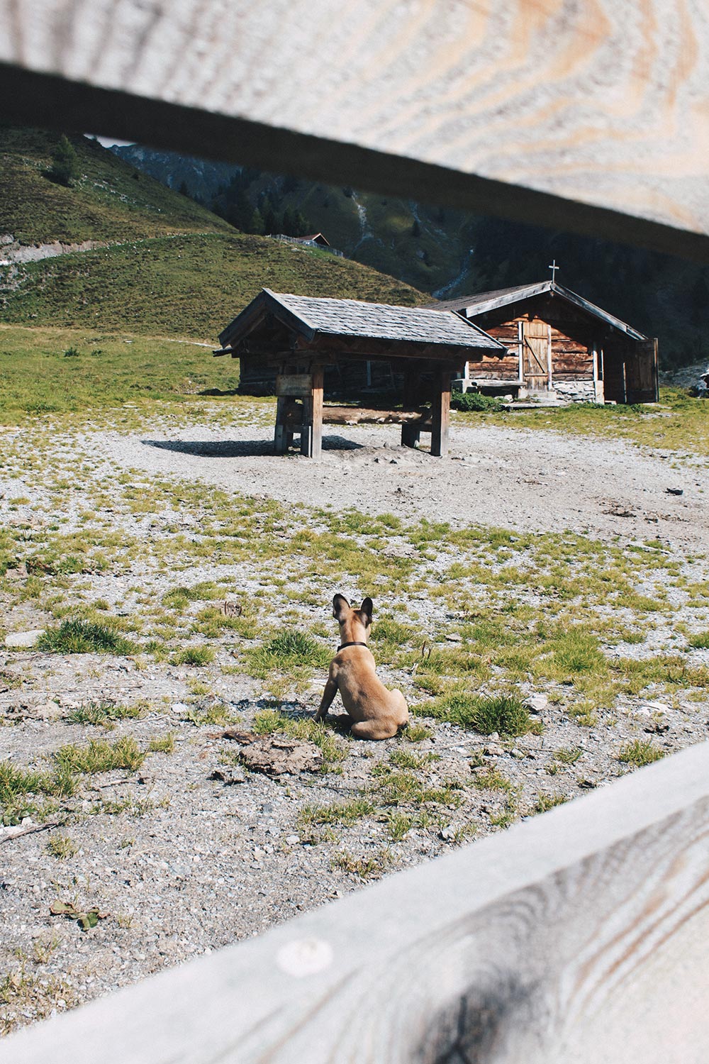 Aufi aufn Berg! Über das Wandern mit Hund in Tirol, Must-Haves, Lifestyle Blog, Tirolblog, whoismocca.com