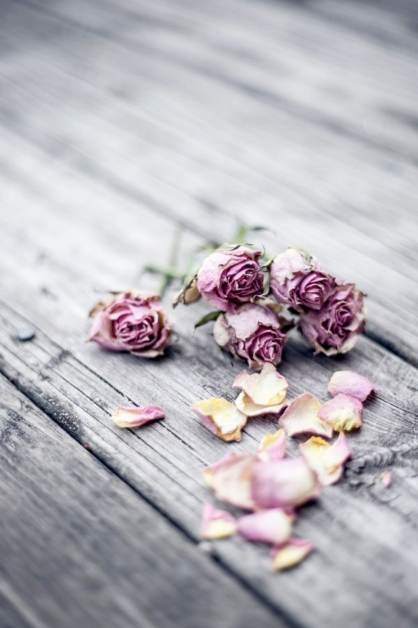 Valentinstag, Good to know, romantische Ideen, Gift Guide, Geschenke für Sie und Ihn, Lifestyle Blog, whoismocca.com