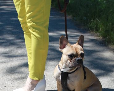 Outfit: Limettengrüne Slacks & Wedges von Mango Outfit: Limettengrüne Slacks & Wedges von Mango