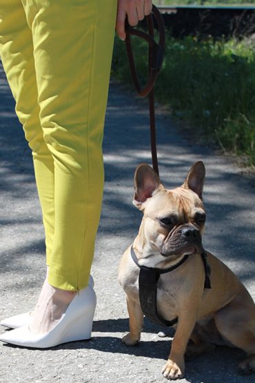 Outfit: Limettengrüne Slacks & Wedges von Mango Outfit: Limettengrüne Slacks & Wedges von Mango