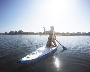 #DiscoverVienna – City Weekend in Wien mit AccorHotels und Stand Up Paddling mit Hund #DiscoverVienna – City Weekend in Wien mit AccorHotels und Stand Up Paddling mit Hund
