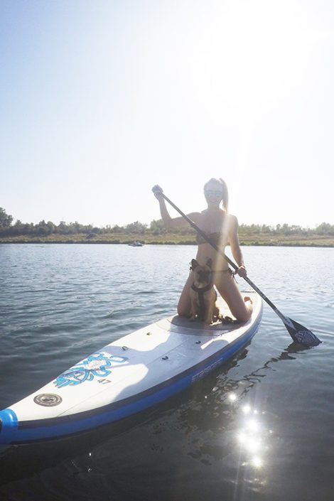 #DiscoverVienna – City Weekend in Wien mit AccorHotels und Stand Up Paddling mit Hund #DiscoverVienna – City Weekend in Wien mit AccorHotels und Stand Up Paddling mit Hund