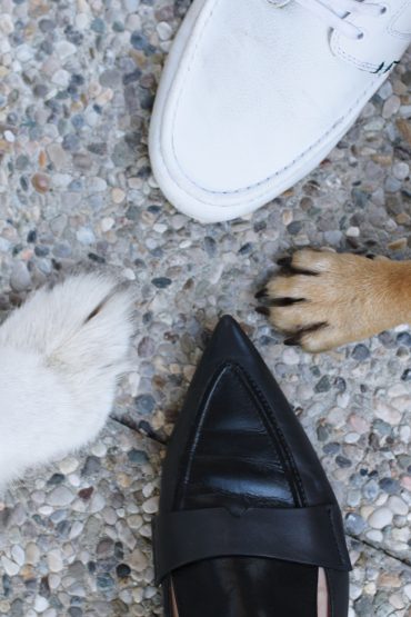 SHOE STEP OF THE YEAR 2015 – whoismocca x beatsanddogs – our shlovestory SHOE STEP OF THE YEAR 2015 – whoismocca x beatsanddogs – our shlovestory