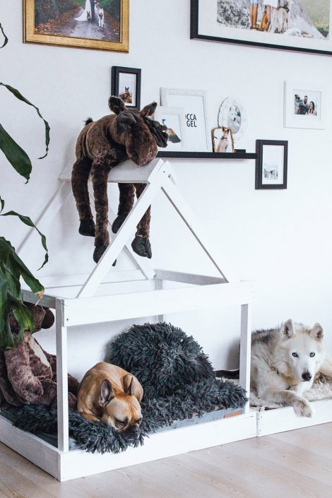 DIY: Hundehütte für die Wohnung selber bauen! DIY: Hundehütte für die Wohnung selber bauen!