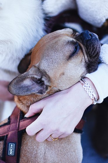 Zweierlei: Wenn ich ein Hund wäre… Zweierlei: Wenn ich ein Hund wäre…
