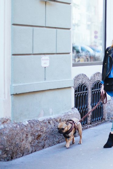 Outfit mit Lederjacke, grüner Hose und Guess Tasche Outfit mit Lederjacke, grüner Hose und Guess Tasche