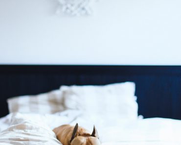 5 Tipps für ein gemütliches Schlafzimmer 5 Tipps für ein gemütliches Schlafzimmer