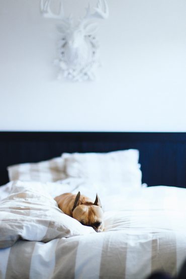 5 Tipps für ein gemütliches Schlafzimmer 5 Tipps für ein gemütliches Schlafzimmer