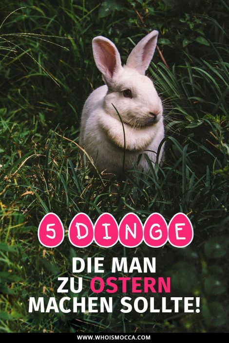 5 Dinge, die man zu Ostern machen sollte! 5 Dinge, die man zu Ostern machen sollte!