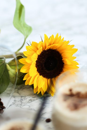 3 einfache Eiskaffee Rezepte zum selber machen 3 einfache Eiskaffee Rezepte zum selber machen