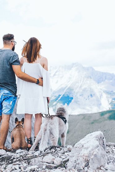 10 Hunde Facts über Husky Angel und Frenchie Mocca 10 Hunde Facts über Husky Angel und Frenchie Mocca