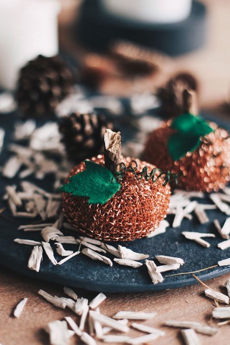 Herbst-DIY mit Kupferschwamm – Kürbis-Deko mal anders! Herbst-DIY mit Kupferschwamm – Kürbis-Deko mal anders!