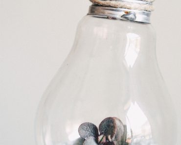 Geniale DIY Idee für Pflanzen: Die Glühbirnen Vase! Geniale DIY Idee für Pflanzen: Die Glühbirnen Vase!