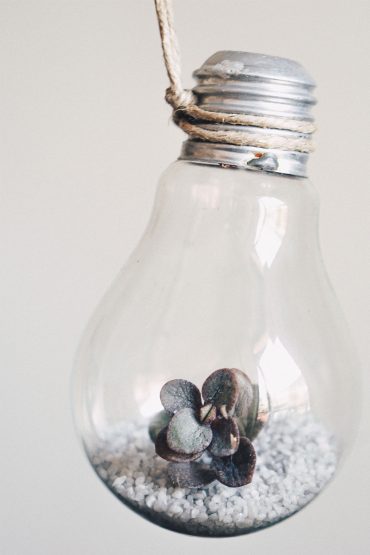 Geniale DIY Idee für Pflanzen: Die Glühbirnen Vase! Geniale DIY Idee für Pflanzen: Die Glühbirnen Vase!