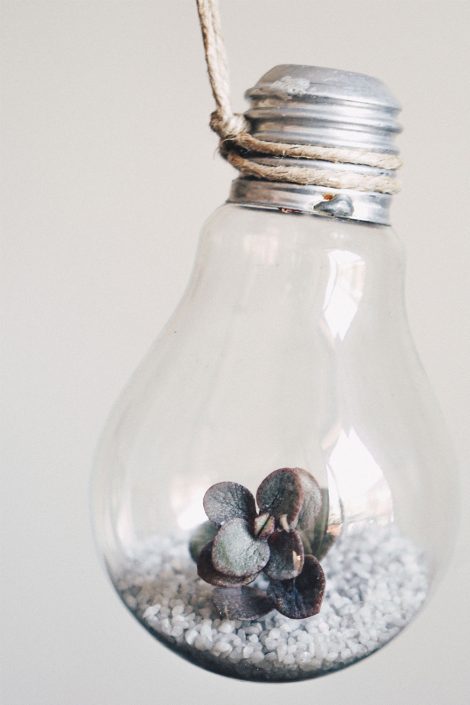 Geniale DIY Idee für Pflanzen: Die Glühbirnen Vase! Geniale DIY Idee für Pflanzen: Die Glühbirnen Vase!
