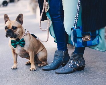 Nadelstreifen-Mantel, Satinkleid und Skinny Jeans Nadelstreifen-Mantel, Satinkleid und Skinny Jeans