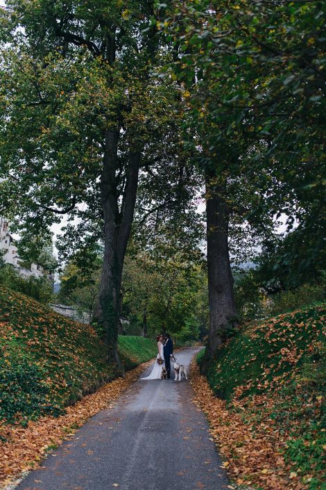 Style Shoot zum Thema Herbsthochzeit in Tirol mit unseren Hunden Style Shoot zum Thema Herbsthochzeit in Tirol mit unseren Hunden