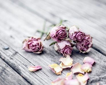 Good to know: So wird der Valentinstag unvergesslich! Good to know: So wird der Valentinstag unvergesslich!