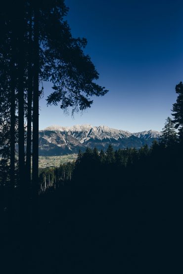 Wandern mit Hund in Tirol: Die Aldranser Alm! Wandern mit Hund in Tirol: Die Aldranser Alm!