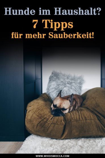 Sauberer Haushalt mit Hund? 7 Tipps für ein reinliches Hunde-Zuhause! Sauberer Haushalt mit Hund? 7 Tipps für ein reinliches Hunde-Zuhause!