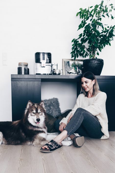 Wildborn Hundefutter Erfahrungen von Frenchie Mocca und Husky Teddy! Wildborn Hundefutter Erfahrungen von Frenchie Mocca und Husky Teddy!