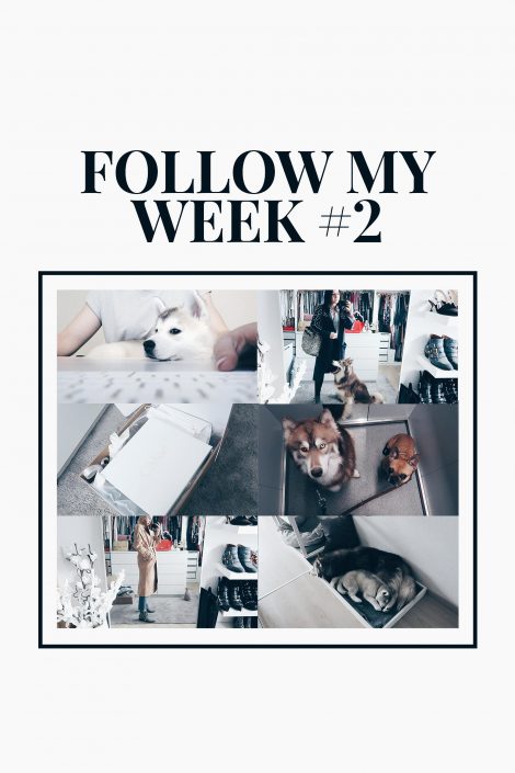 Follow My Week #2: Alltag mit Hund, Home Office, Shopping Haul und mehr. Follow My Week #2: Alltag mit Hund, Home Office, Shopping Haul und mehr.