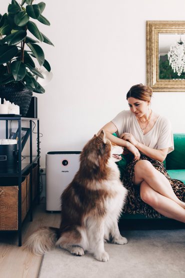 Pollenzeit: 4 einfache Tipps für ein gesundes Raumklima und bessere Luftqualität! Pollenzeit: 4 einfache Tipps für ein gesundes Raumklima und bessere Luftqualität!