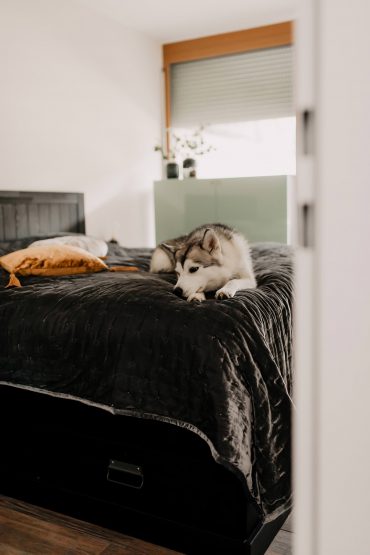 Wohnideen und Einrichtungstipps: Einblicke in unser neues Zuhause! Wohnideen und Einrichtungstipps: Einblicke in unser neues Zuhause!