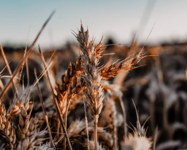 Mentaltraining: 10 Tipps und Übungen für mehr mentale Stärke! Mentaltraining: 10 Tipps und Übungen für mehr mentale Stärke!