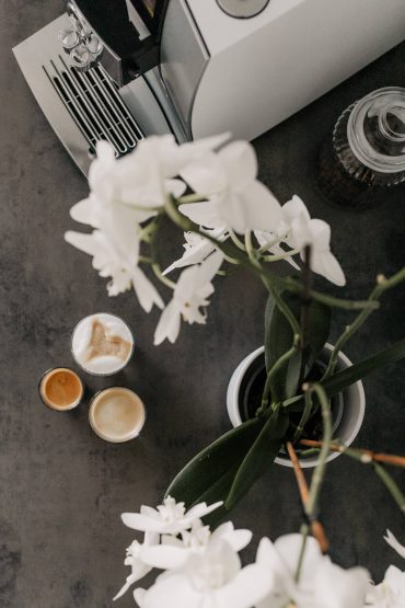 Meine 6 liebsten Kaffeespezialitäten für vielfältigen Genuss! Meine 6 liebsten Kaffeespezialitäten für vielfältigen Genuss!