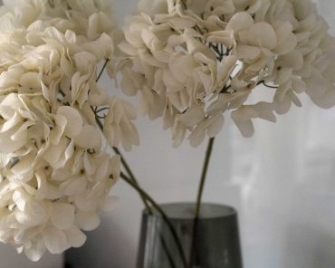 Vasen dekorieren leicht gemacht – der Deko-Guide Vasen dekorieren leicht gemacht – der Deko-Guide